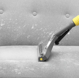 Before Cleaning